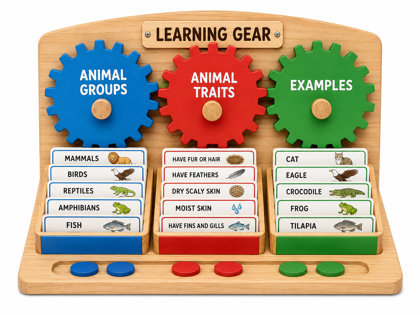 Learning Gear, our 3D-printed animal classification product
